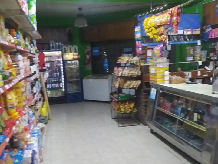 Comercial / Tienda en venta en Fleming, 4499, Parque San Martín
